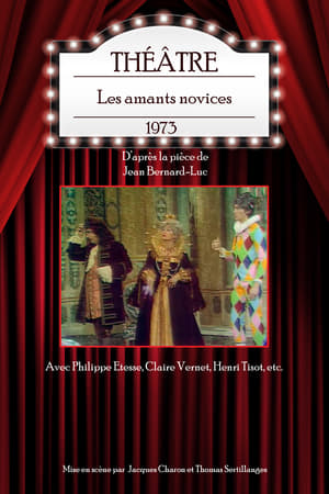 Les amants novices poster