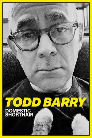 Image Todd Barry: Domestic Shorthair