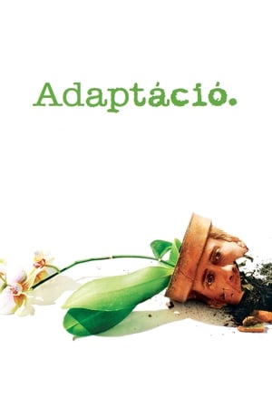 Poster Adaptáció 2002