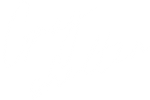 Gray Shelter — Logos 2