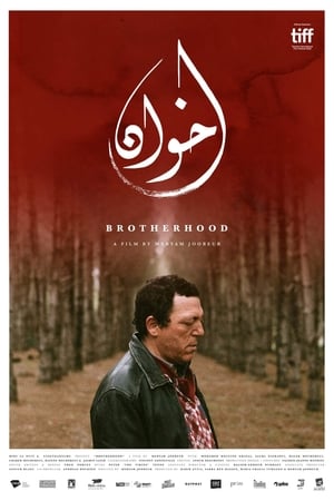 Poster di Brotherhood