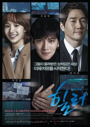 Poster Healer 2014