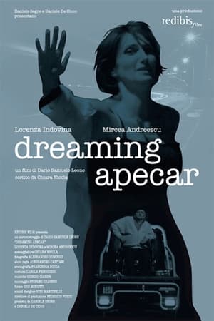 Poster Dreaming Apecar (2013)