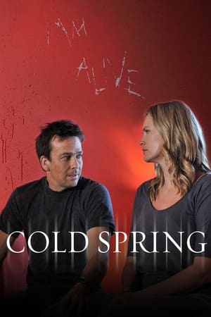 Poster La casa de Cold Spring 2013