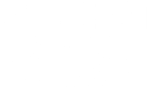 Ảnh 46