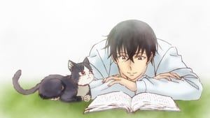 Doukyonin wa Hiza, Tokidoki, Atama no Ue. - Assistir Animes Online HD