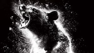 Cocaine Bear (2023) English | Watch online & Download | English & Sinhala Subtitle