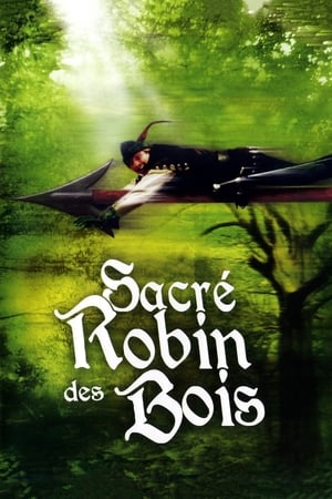 Sacré Robin des bois (1993) » VK Streaming FR