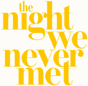 The Night We Never Met