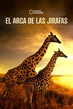Image Salvando a las jirafas: El largo viaje a casa