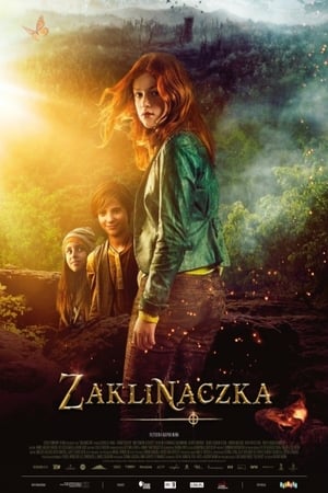 Poster Zaklinaczka 2018