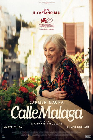 Calle Malaga 38