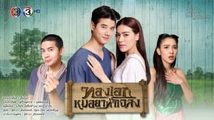 ทองเอก หมอยา ท่าโฉลง ตอนที่ 1-14 พากย์ไทย [จบ] HD 1080p