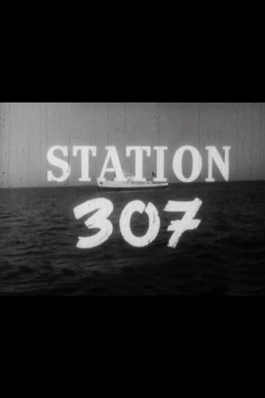 Station 307 poster