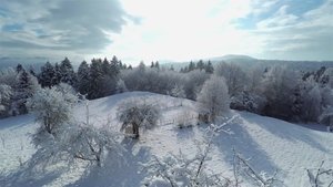 Ancient Yellowstone Frozen Archeology