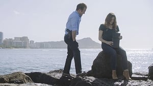 Hawaii Five 8X18 Online Subtitulado