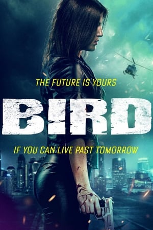 Poster Bird (2020)