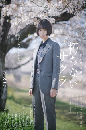 Sakura