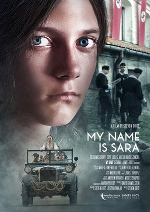 Nonton Drama Korea My Name Is Sara (2020)