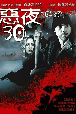 三十极夜 (2007)