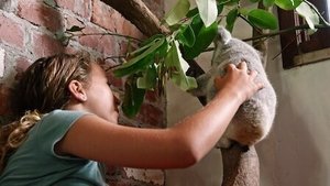 Izzy's Koala World Chompy Learns to Climb