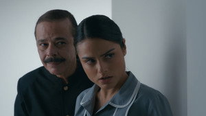 Terra Forte: 1×117