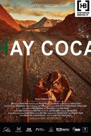Poster Hay coca 2018