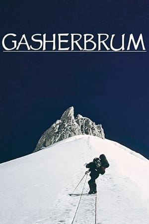 Gasherbrum - La montagna lucente