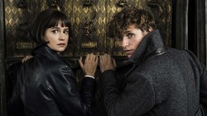 Fantastic Beasts The Crimes of Grindelwald 2018