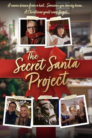 The Secret Santa Project (2025)