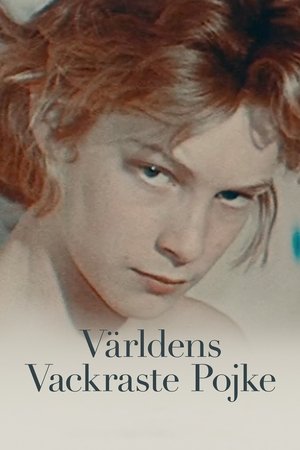 Världens vackraste pojke (2021)