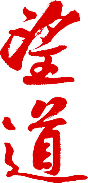 望道 — Logos 6