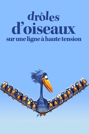 Drôles d'oiseaux sur une ligne à haute tension Drôles d'oiseaux sur une ligne à haute tension