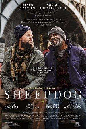 Poster Sheepdog 2024