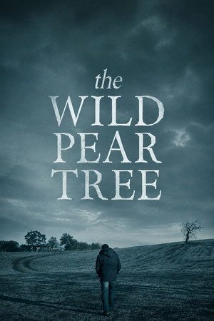 The Wild Pear Tree