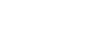 Anek — Logos 2
