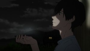 Une nuit d’été