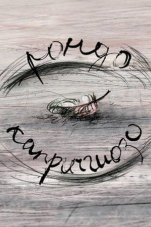 Rondo – Capriccioso