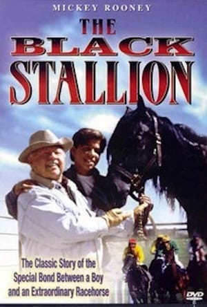 Adventures of the Black Stallion poster