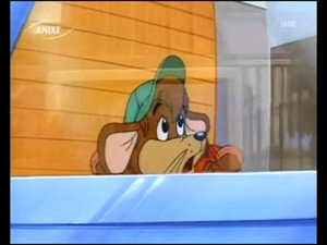 Max Goes to Washington