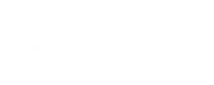 Assault on VA-33 — Logos 2