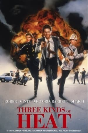 Poster Three Kinds of Heat (1987)