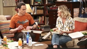 The Big Bang Theory 9 x Episodio 22