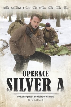 Operace Silver A 2007