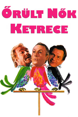 Poster Őrült nők ketrece 1978