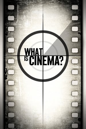 What Is Cinema? (2013) | Team Personality Map