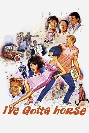 Poster I've Gotta Horse (1965)