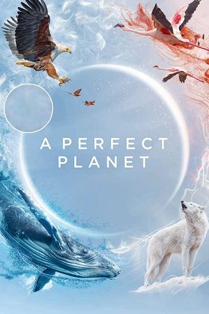 A Perfect Planet – Season 1 A Perfect Planet – Season 1