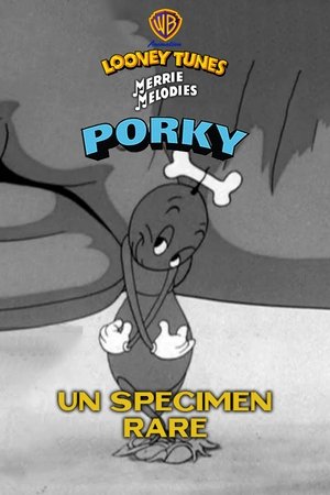 Un spécimen rare