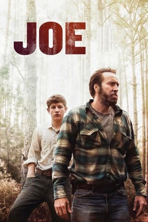 Poster Joe 2013